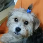 Ruth doris cerda aguilera - @ruthdoriscerda - Instagram