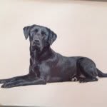 Doris Chadwick - @doggy_dorisxo - Instagram