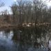 Doris Chamberlain Nature Area - Facebook