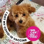 Doris Chancellor - @chancellordoris - Instagram