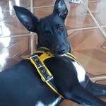 Doris Channel - @doris.channel22 - Instagram