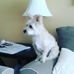 Doris Charest - @dodocharest - Instagram