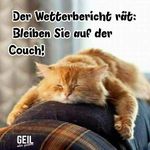 Doris - @doris.chase - Instagram