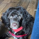 Doris Chatman - @happyford_dc - Instagram