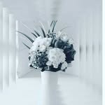 Doris Chau - @doris2204 - Instagram