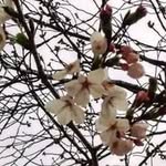 Doris Cheong - @dcinsta8 - Instagram