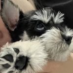 Doris Cheong - Facebook