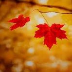 Doris Cheong - Facebook