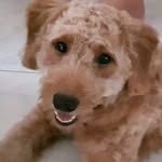 Doris Cheong - @cheongdoris - Instagram