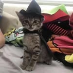 @dori_scherry - Instagram
