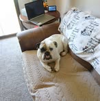 Toris Chesser - Facebook
