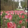 Doris Cheung - @30274751761 - TikTok