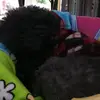 Doris Cheung - @doris20071211 - TikTok