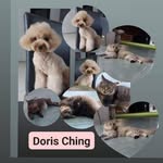 莊蓓芹 - @doris_ching39 - Instagram