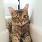 Doris Chong - @doris.chong.94 - Instagram
