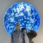 Doris Chong - @doris.chong.5245 - Instagram