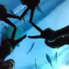 Doris Chu - @dorischu4 - TikTok