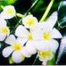 Doris Clarin - Facebook