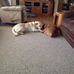 Doris Clancy - Facebook