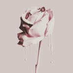 doris clemente - @dorisclemente1 - Instagram