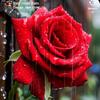 Doris club - @doris.club - TikTok
