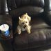 Doris Simmons-Cobbs - Facebook