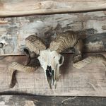 Doris Colvin - @dorisingrenoble - Instagram