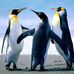 Doris Colvin - Facebook