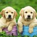 Doris Colvin - Facebook