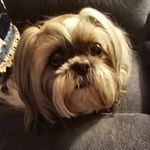 Doris Combs - @doris.combs - Instagram