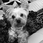 Doris Coney - @coney.doris - Instagram