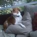 Doris Conklin - Facebook