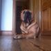 Doris Lorraine Connell - Facebook