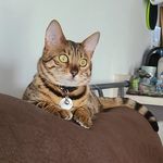 Doris Conrad - @76dmaeconrad - Instagram