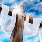Doris Craig - @doriscraig62 - Instagram