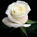 Doris Crowder - Facebook