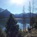 Doris J Crowe - @cdqltr - Instagram