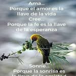 Doris Cuellar - @doris.cuellar.121 - Instagram