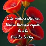 Doris Cuellar - @doriscuellar65 - Instagram