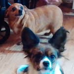 Doris Culver Culver - @dorisculverculver - Instagram