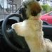 Doris Curtis - Facebook