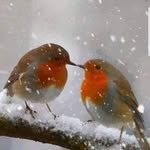 Doris Curtis - @doris.curtis.5891 - Instagram
