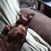 Doris Dailey - Facebook