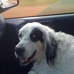 Doris Daugherty-Merrifield - @daughertymerrifield - Instagram