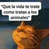 DORIS DELGADO - @doris.delgado58 - TikTok