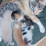 Doris Marcia Delgado Gonzalez - @doris._.delgado - Instagram