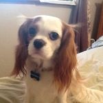 Dori Dibble - @dori_stuart_dibble - Instagram
