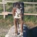 Doris Dietrich - Facebook