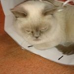 Doris Dietrich - @doris.dietrich.14 - Instagram