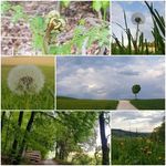 Doris Dietrich - @dorisdietrich11 - Instagram